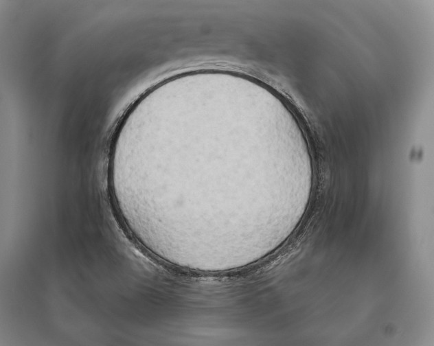 X0000095521504200801111424