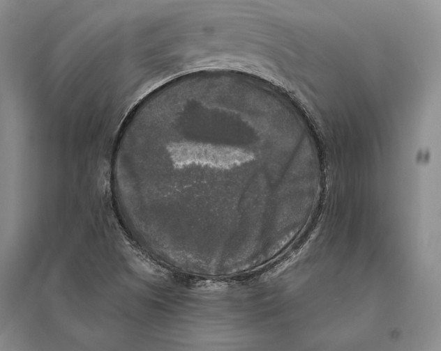 X0000095521505200801111424