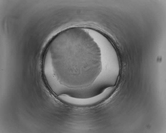 X0000095521506200801111424