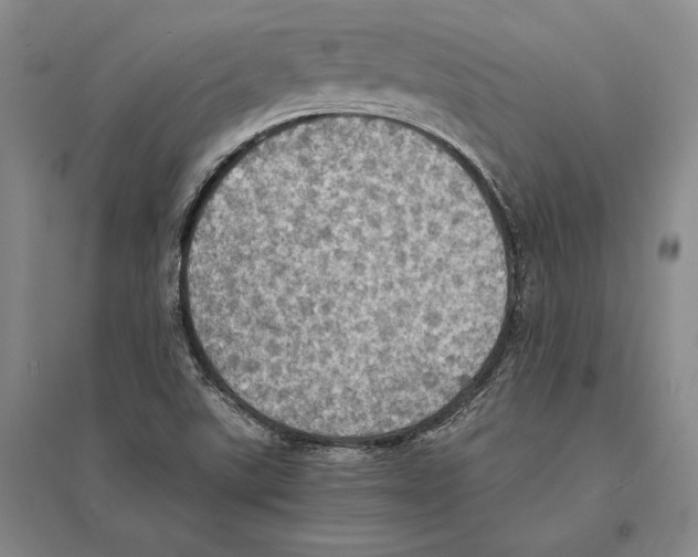 X0000095521507200801111424