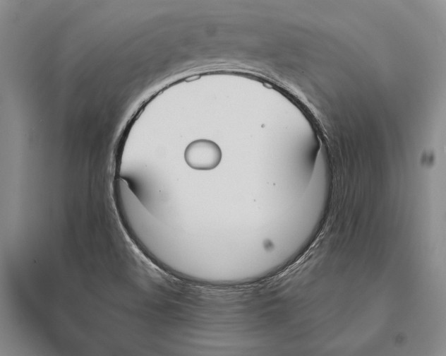 X0000095521508200801111424