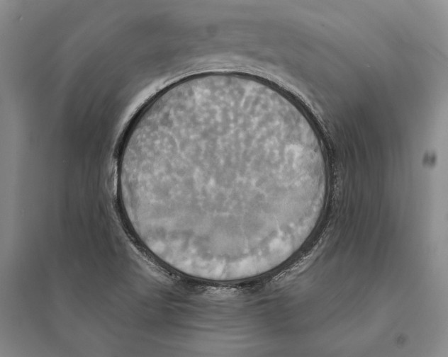 X0000095521509200801111424