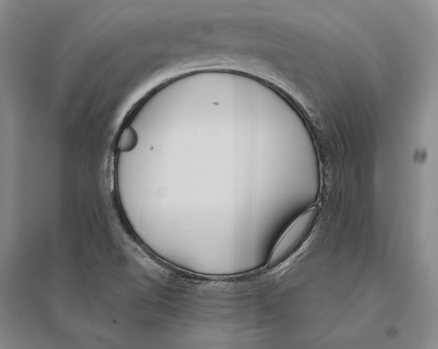 X0000095521510200801111424