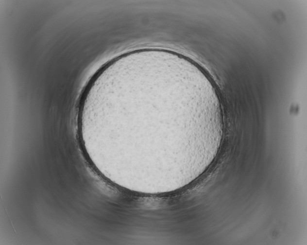 X0000095521511200801111424