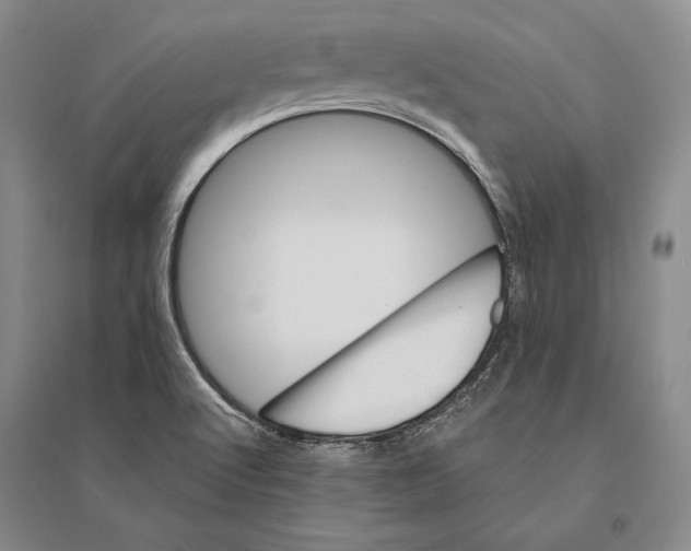 X0000095521512200801111424