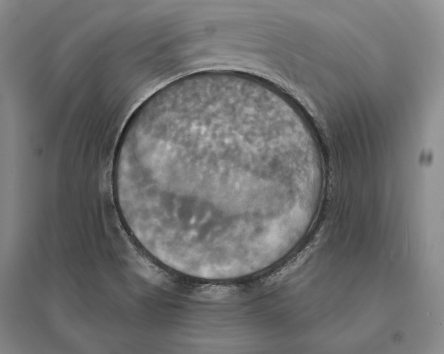 X0000095521513200801111424