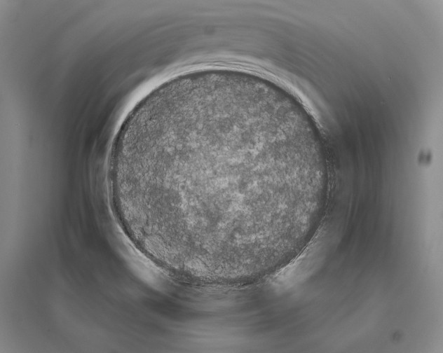 X0000095521514200801111424