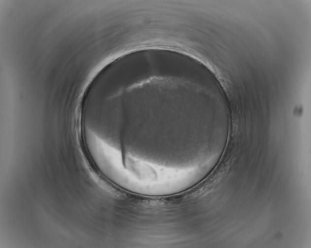 X0000095521515200801111424