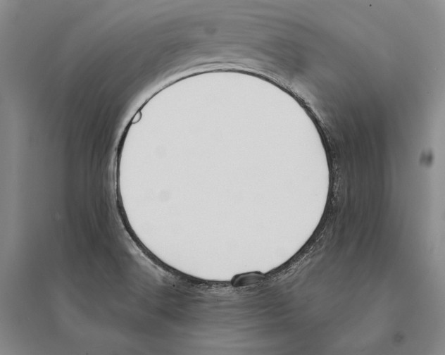 X0000095521516200801111424