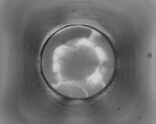 X0000095521517200801111424