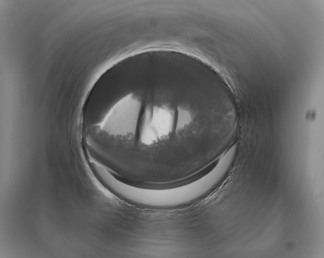 X0000095521519200801111424