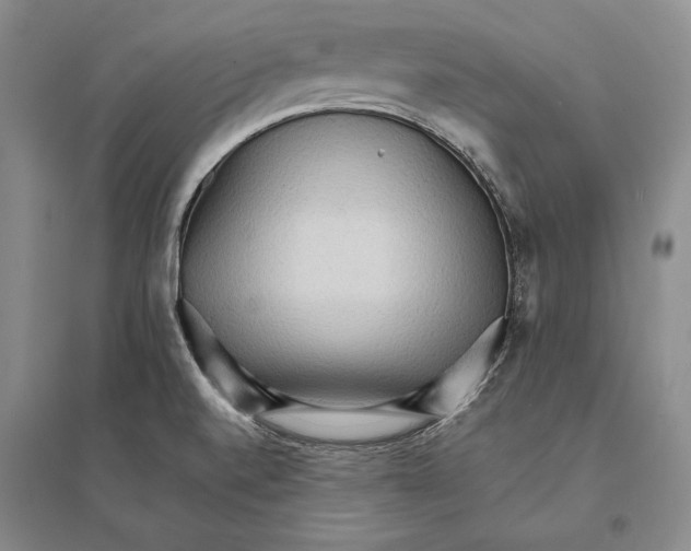 X0000095521520200801111424