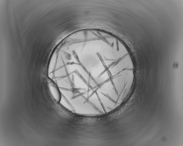 X0000095521521200801111424