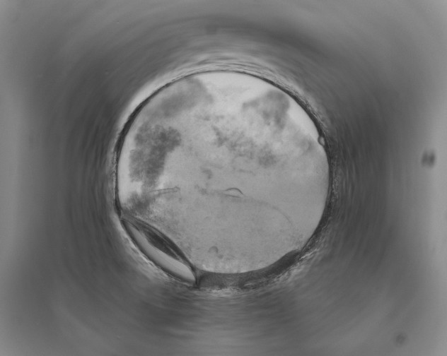 X0000095521522200801111424