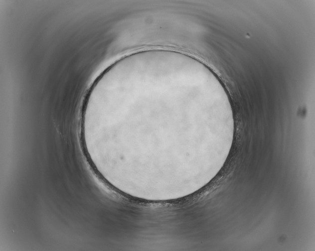 X0000095521523200801111424