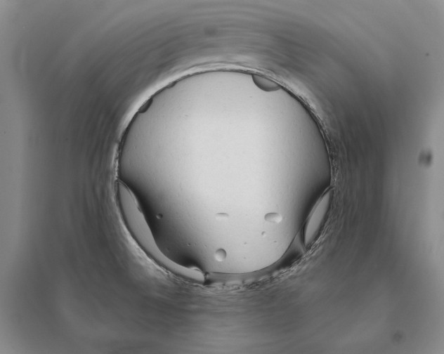 X0000095521524200801111424