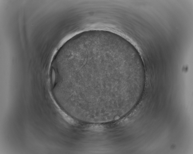 X0000095521525200801111424