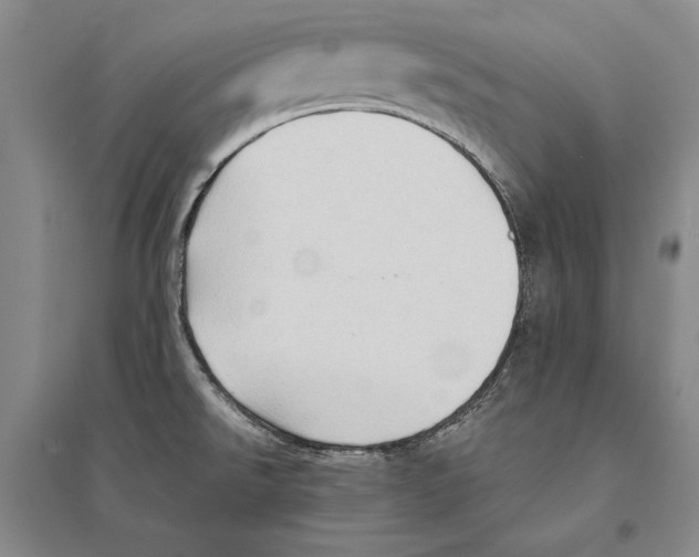 X0000095521526200801111424