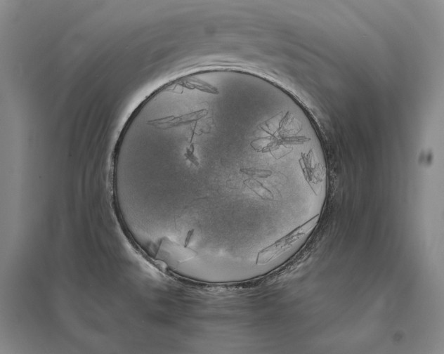 X0000095521527200801111424