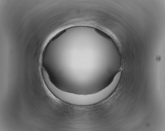 X0000095521528200801111424