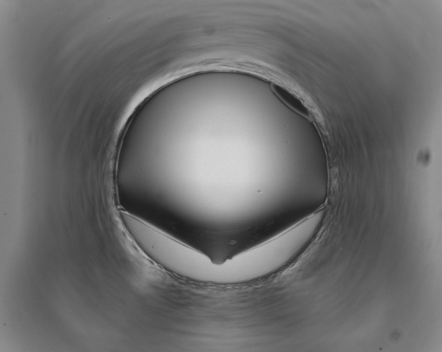 X0000095521530200801111424