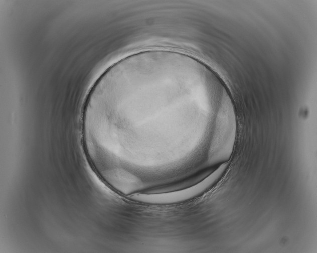 X0000095521531200801111424