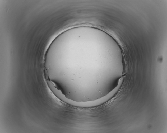 X0000095521532200801111424