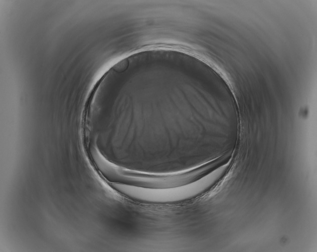 X0000095521533200801111424