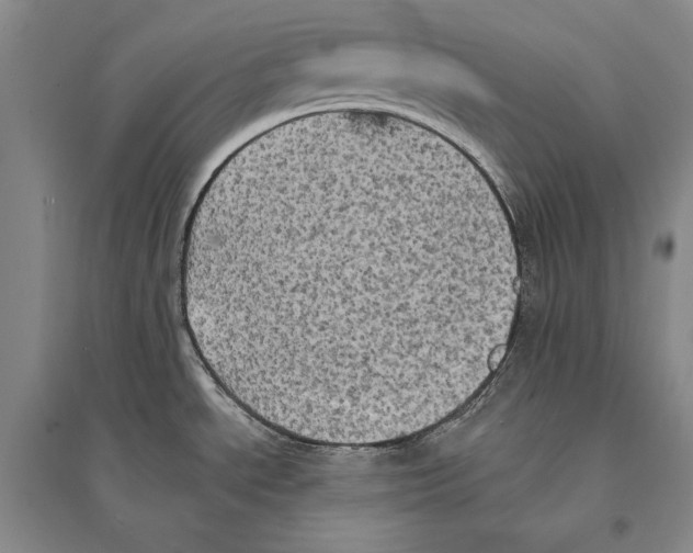 X0000095521534200801111424