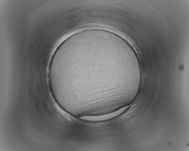 X0000095521535200801111424