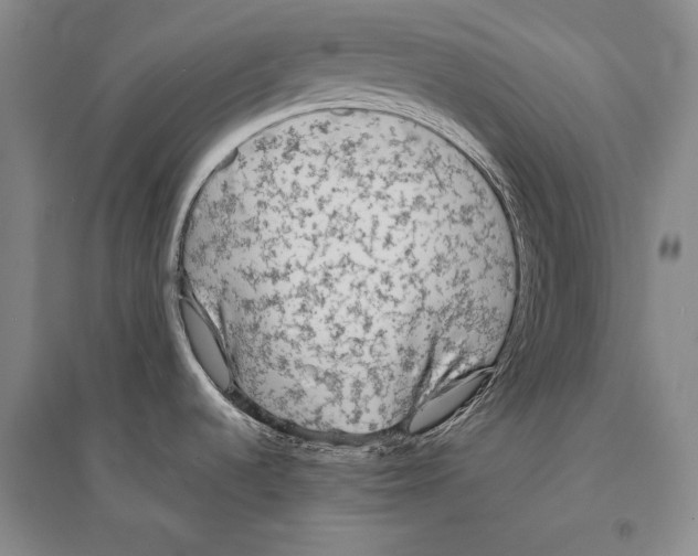 X0000095521536200801111424