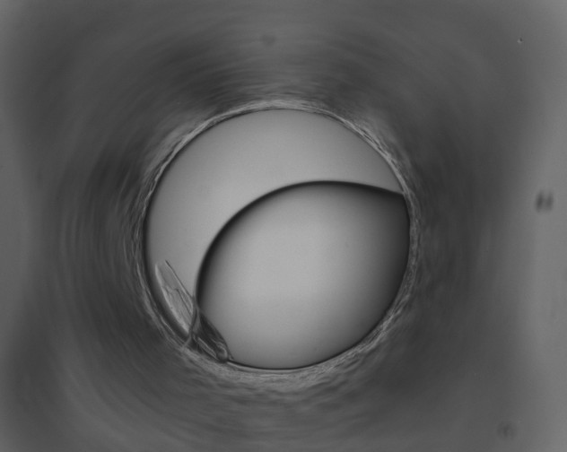 X0000095530001200712140945