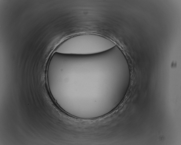 X0000095530002200712140945