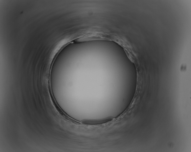 X0000095530003200712140945