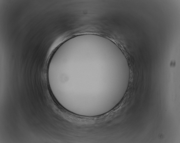 X0000095530004200712140945