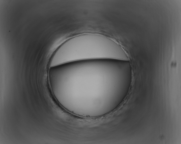 X0000095530005200712140945