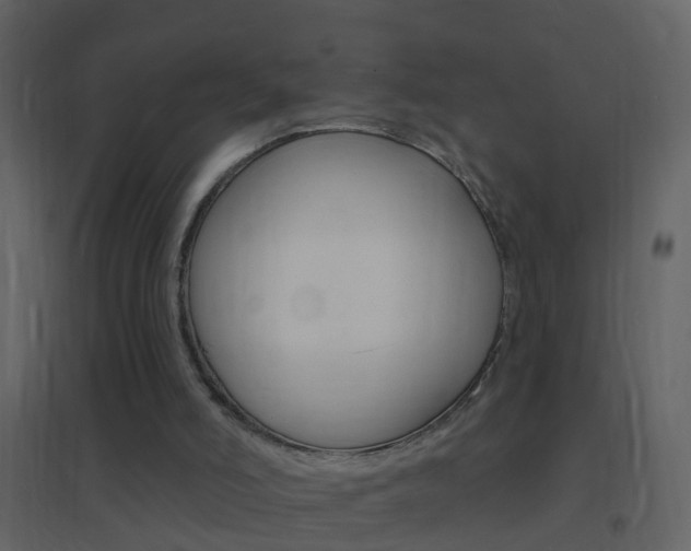 X0000095530006200712140945