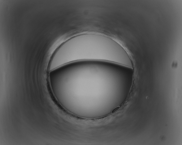 X0000095530007200712140945