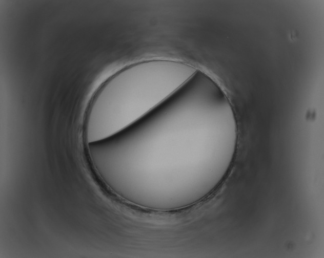 X0000095530008200712140945