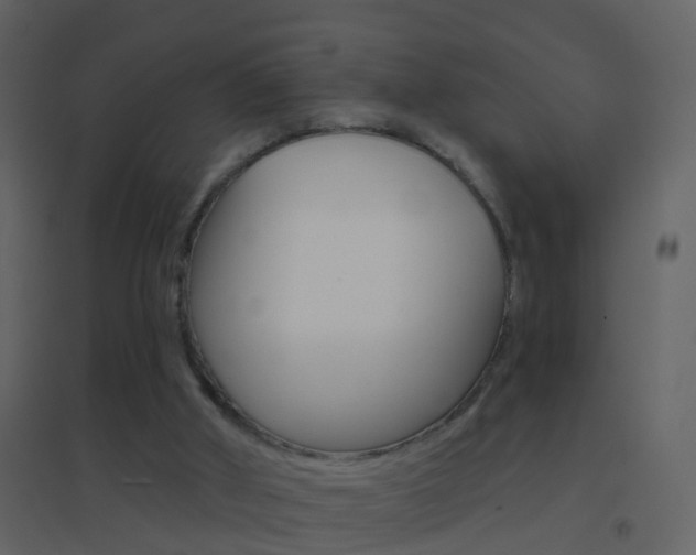 X0000095530010200712140945