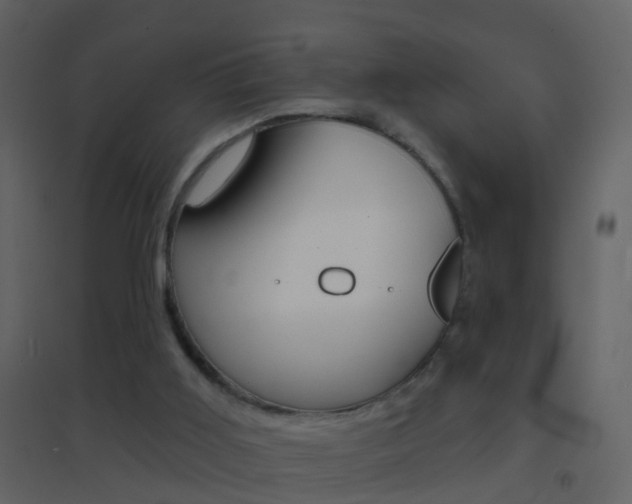 X0000095530011200712140945