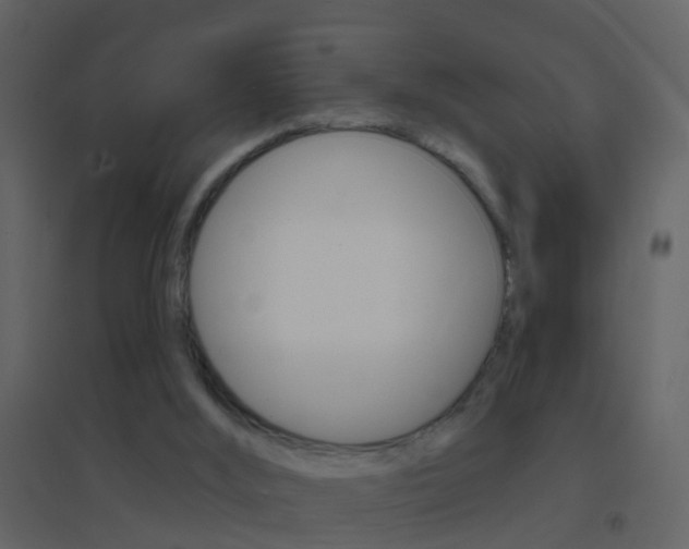 X0000095530012200712140945