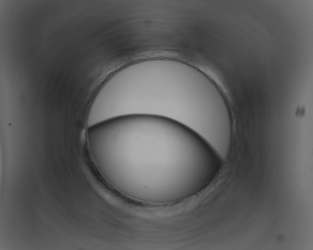 X0000095530013200712140945