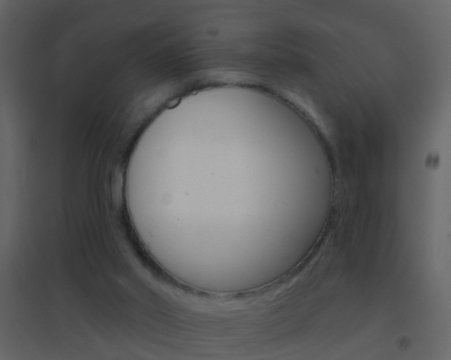 X0000095530014200712140945