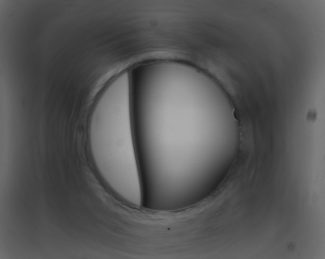 X0000095530015200712140945