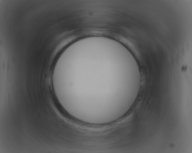 X0000095530016200712140945