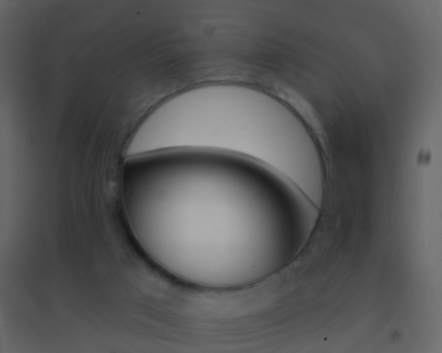 X0000095530017200712140945