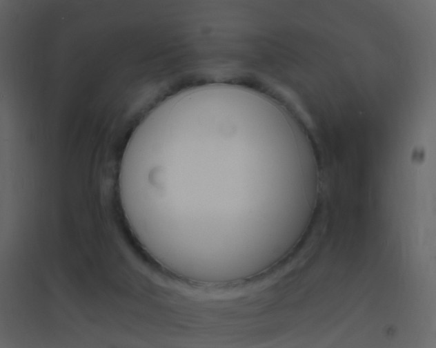 X0000095530018200712140945