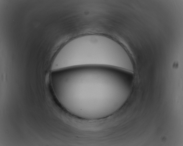 X0000095530019200712140945
