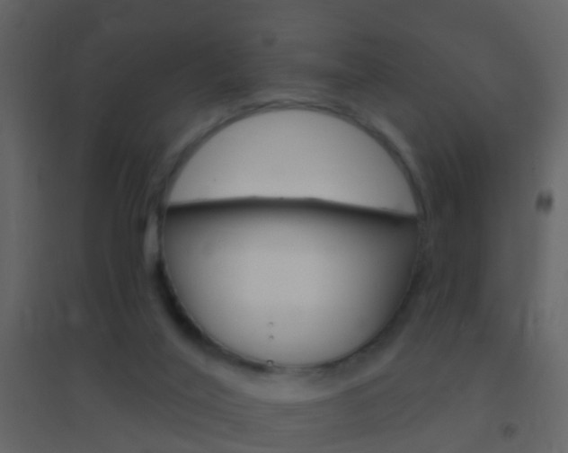 X0000095530020200712140945